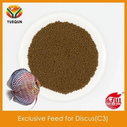 Good Quality Aquarium Fish Feed Exclusive Feed for Discus C3